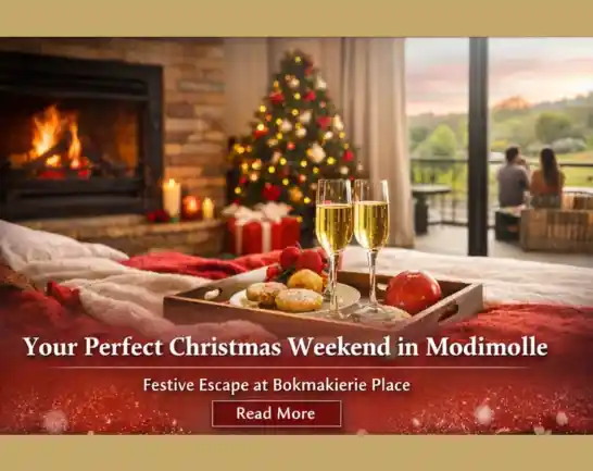 Your Perfect Christmas Weekend in Modimolle