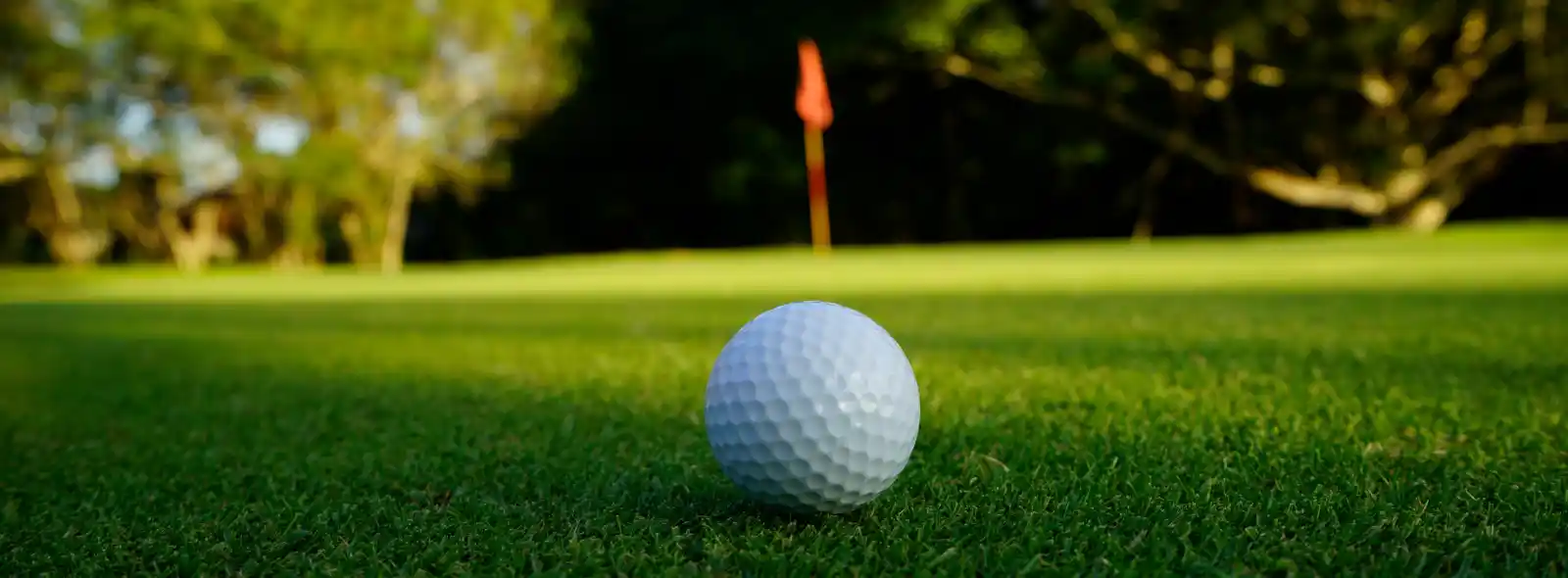 Golf course at Koro Creek