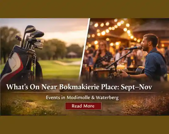 What’s On Near Bokmakierie Place (Sept–Dec)